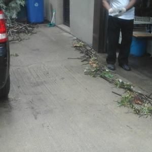 Meet your Posher, Myrtle